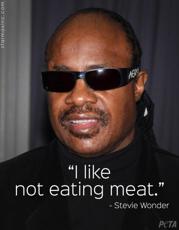 Stevie Wonder