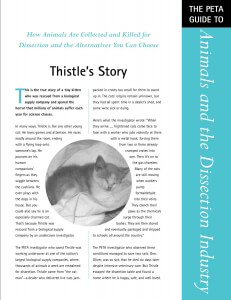 Animals and the Dissection Industry Page 1