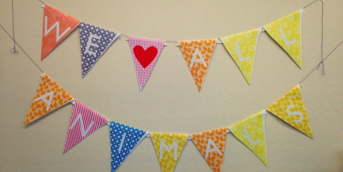 Top 7 Ways to Decorate Your Classroom