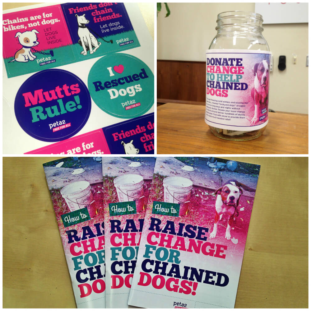 cfcd donation jar labels and leaflets