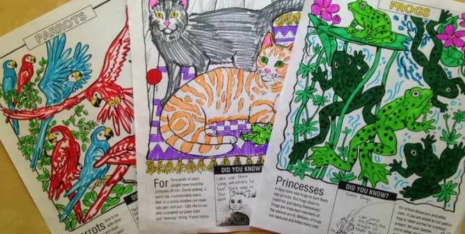 ‘We’re All Animals’ Coloring Sheets