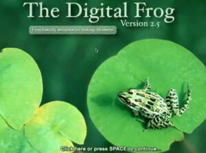 Digital Frog