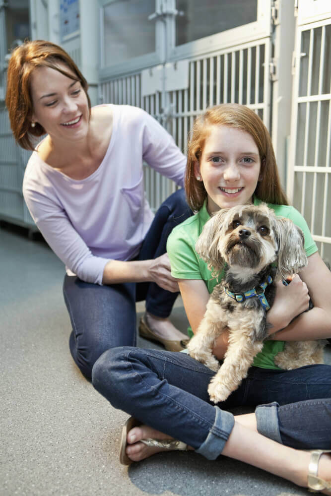 Teach the Importance of Community Service | PETA Teach the Importance of Community Service | PETA