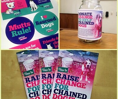 How Your School Can Help Chained Dogs