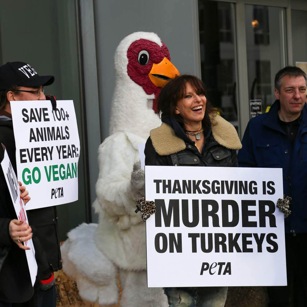 Chrissie Hynde Thanksgiving Demo