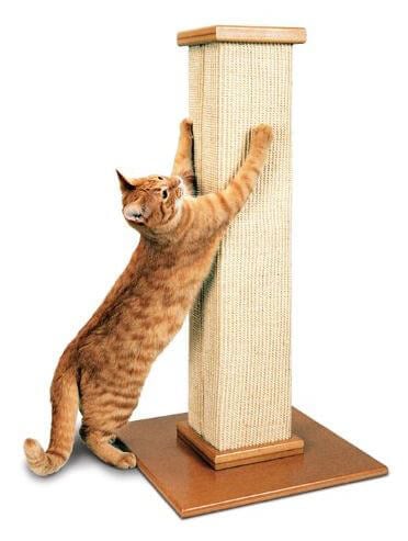 Cat Scratching Post