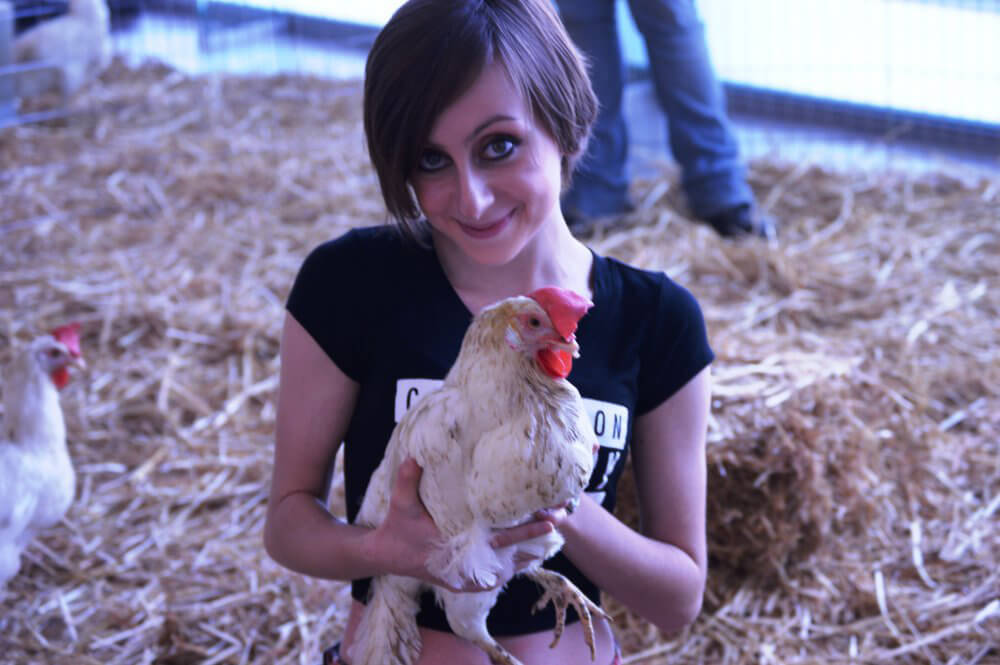 PETA Chicken Adoption Event