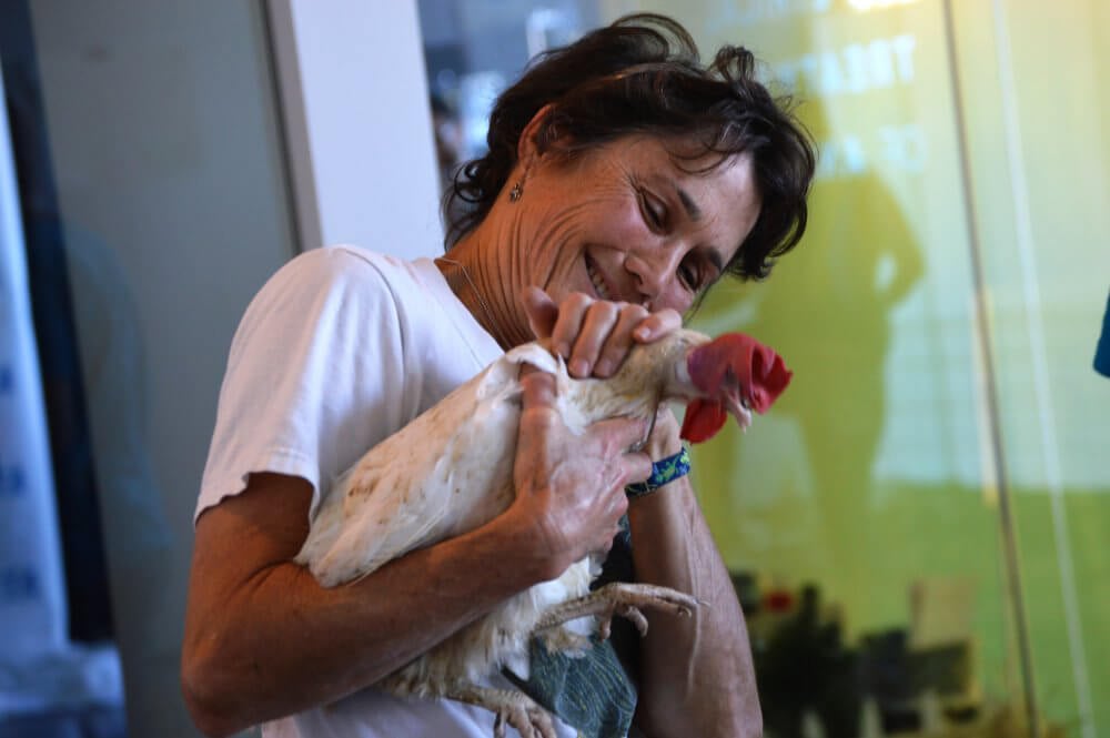 PETA Chicken Adoption Event