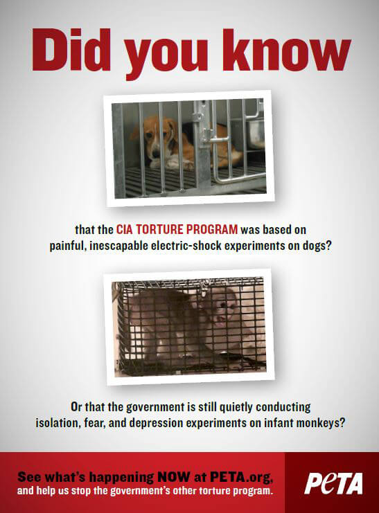 PETA Ad: The Government