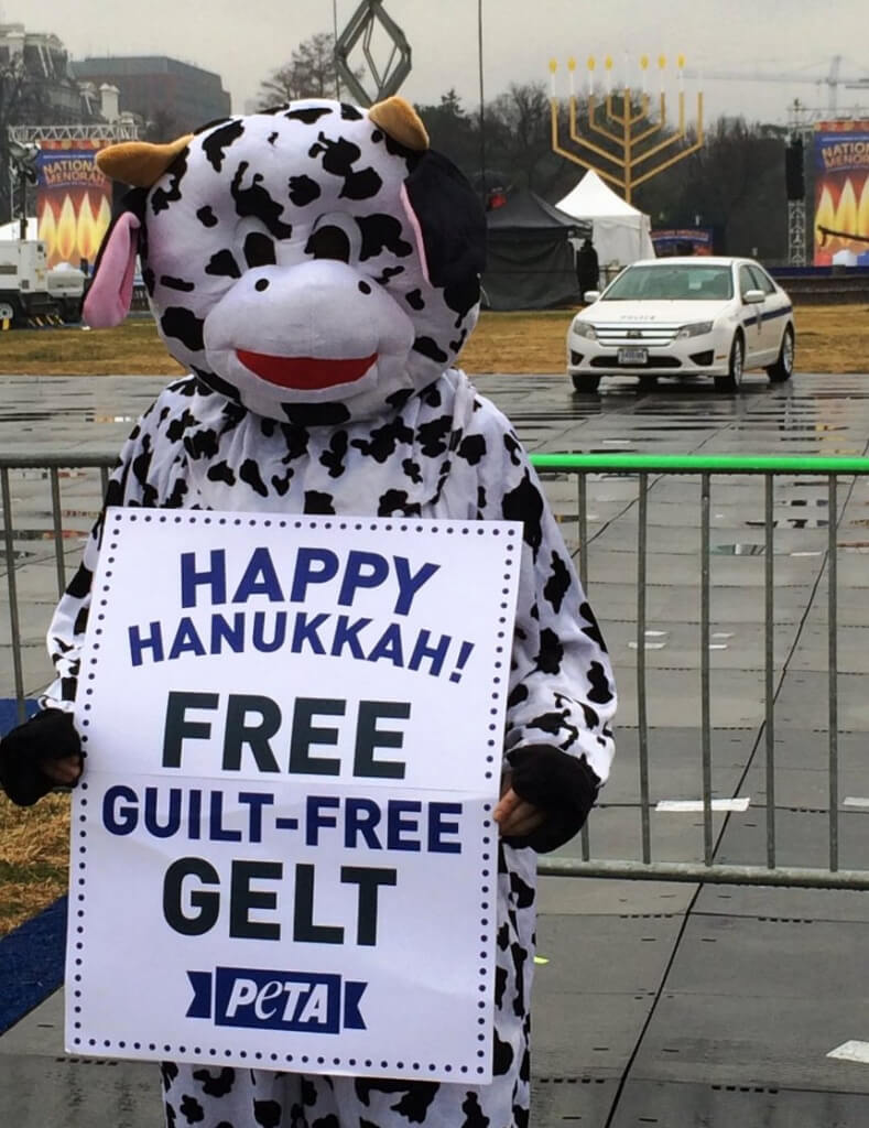 PETA 'Cow' In Front of Menorah