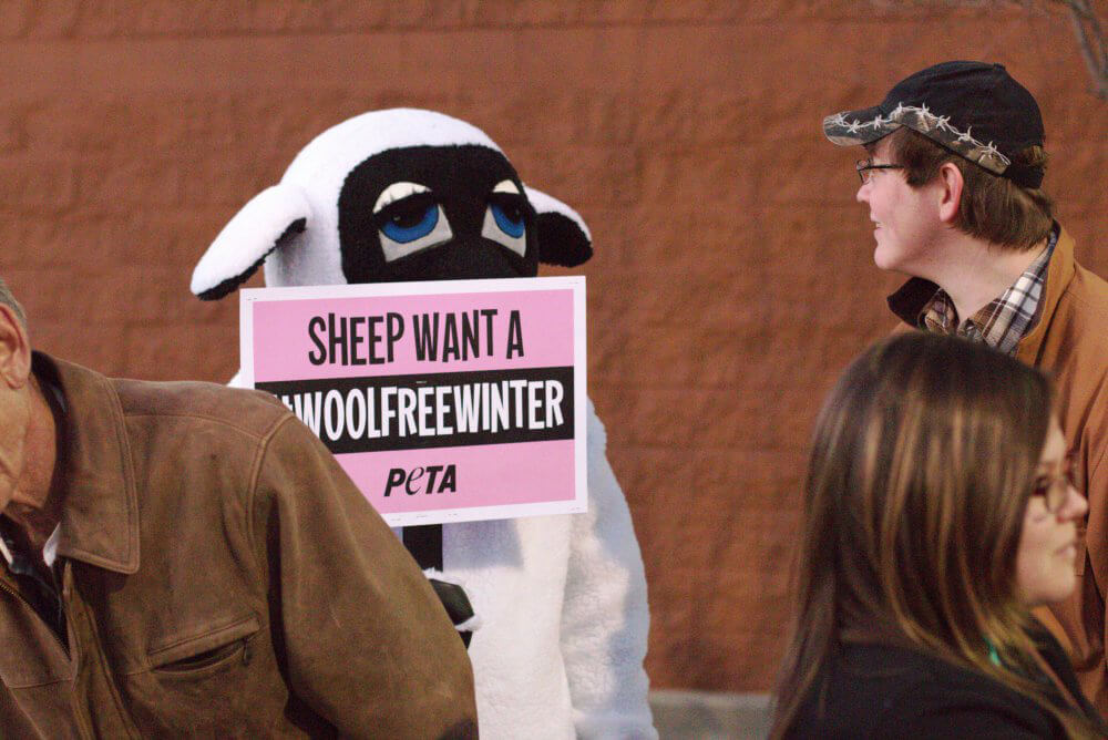 Wool Free Winter demo