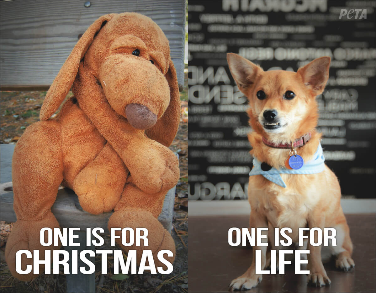 One-Is-For-Christmas-One-Is-For-Life-PETA