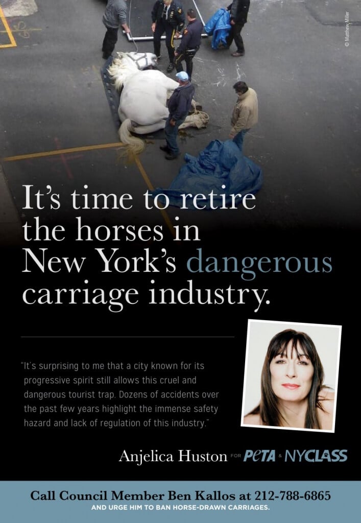 Angelica Huston PETA Ad to Ban Horse-Drawn Carriages