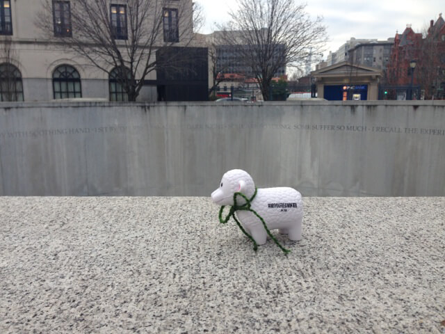Sheep (4)