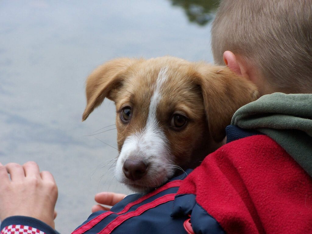 kid with dog