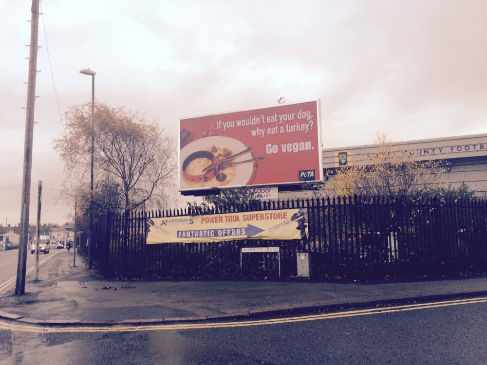 dogbillboard__1419006720_24.171.149.195