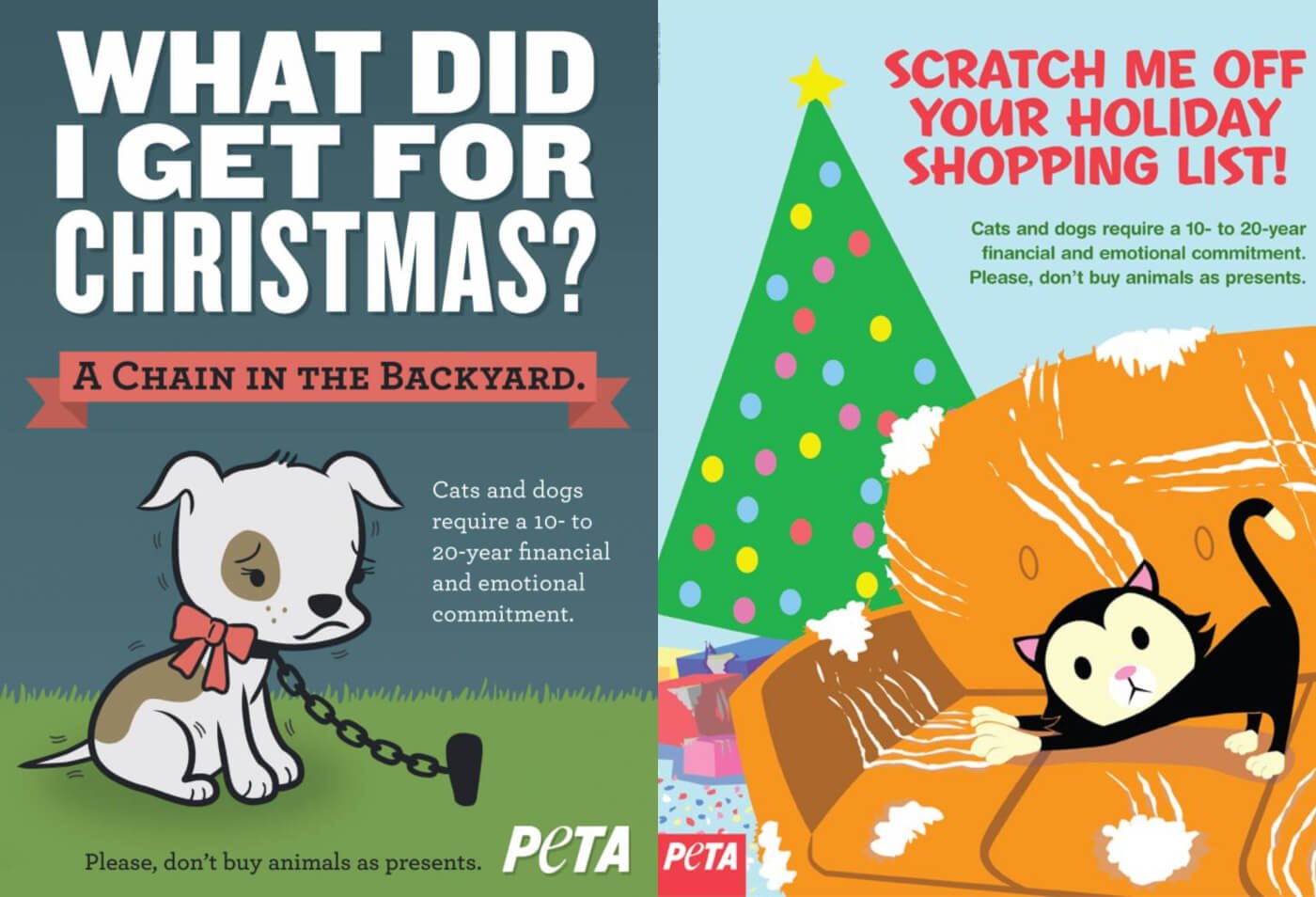 Is It a Good Idea to Give Pets As Gifts? - Midlands Pet Care Pet