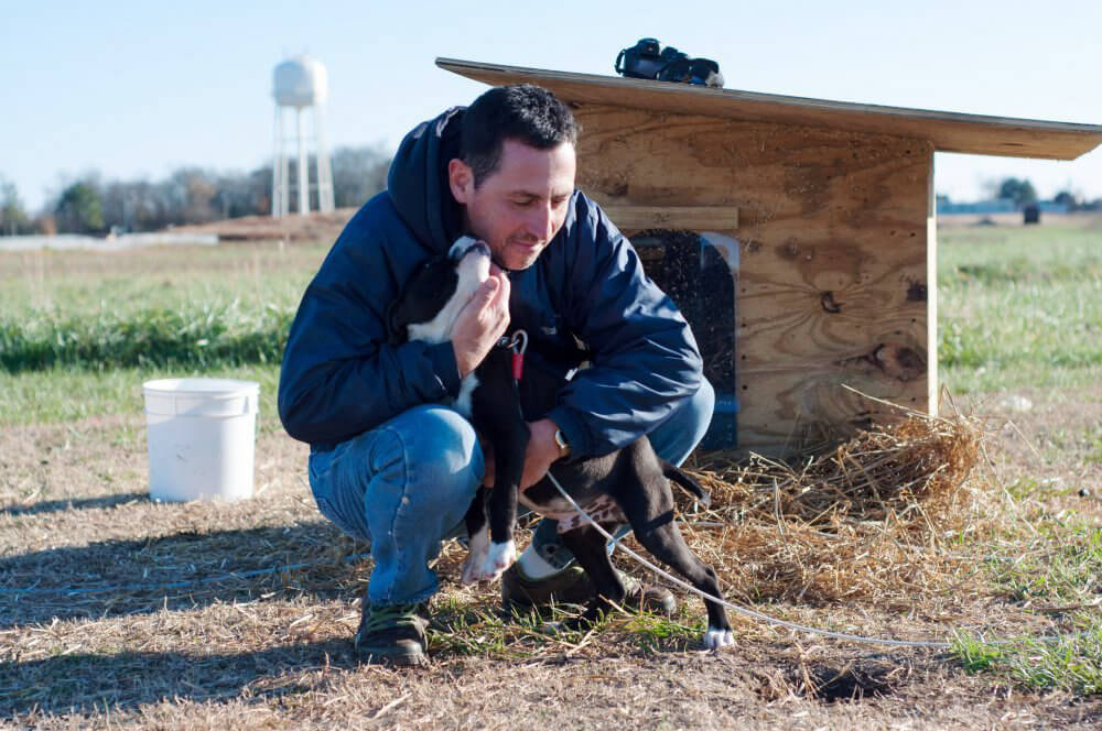 PETA Volunteer Delivering Doghouse to Chained Dog