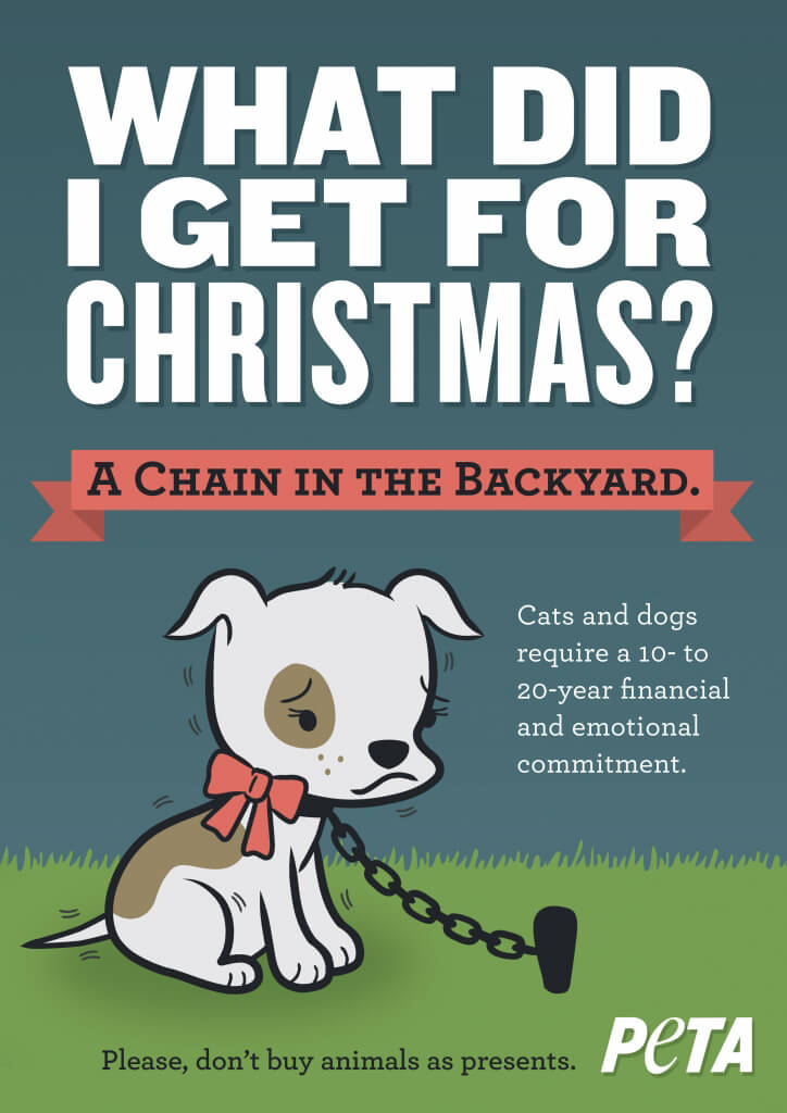 5 Reasons Never to Give a Puppy or Kitten as a Christmas Gift | PETA