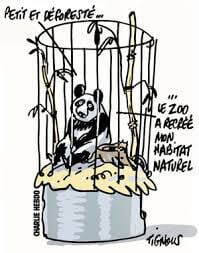 Charlie Hebdo Panda Tignous