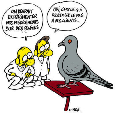 Charlie Hebdo Pigeon by Charb