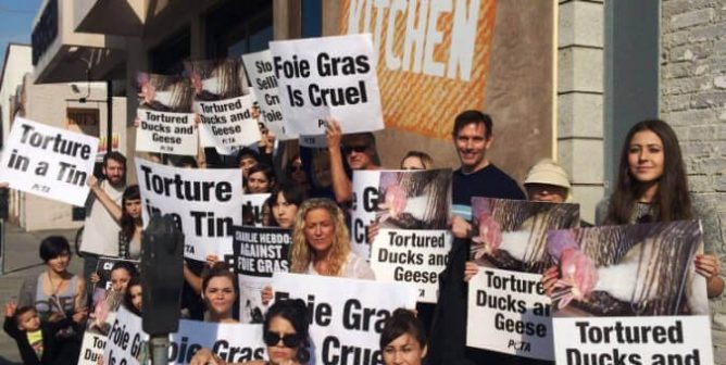 what is foie gras - PETA demo in CA
