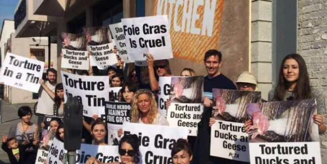 VICTORY: California’s Foie Gras Ban Will Soon Be Back in Effect