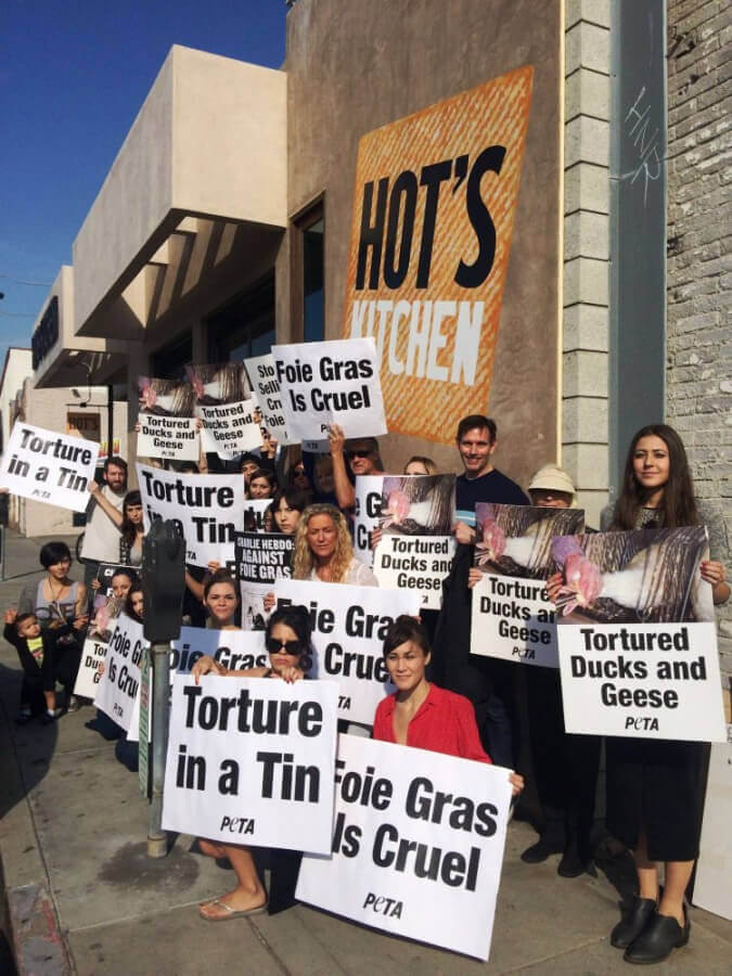 How to Start an Animal Rights Group! | Actions How to Start an Animal Rights Group! | Actions