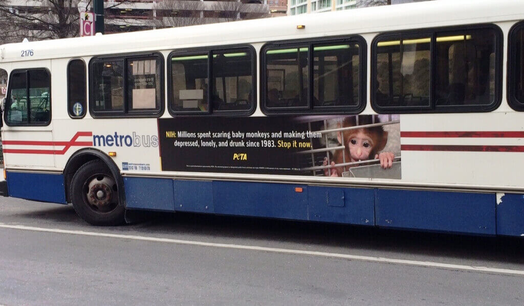 PETA NIH Ad on Side of Bus