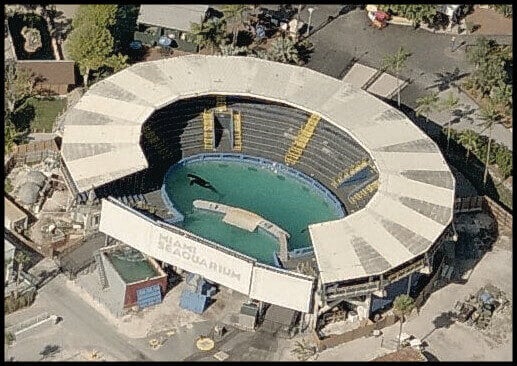 lolita at the Miami Seaquarium