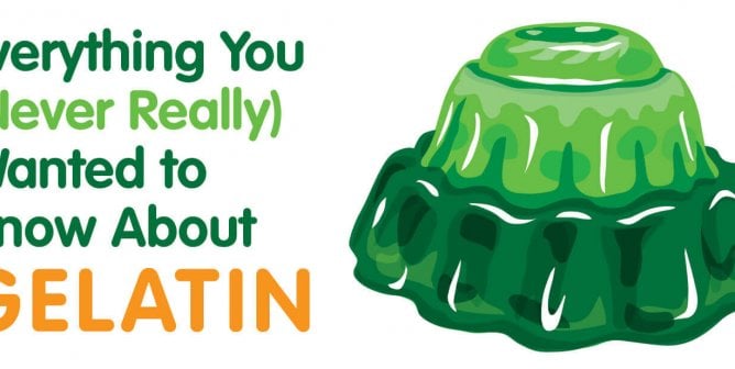 Everything You (Never Really) Wanted to Know About Gelatin