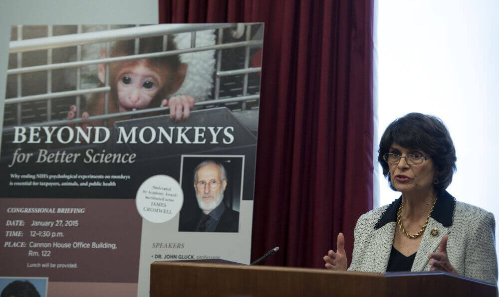 2. Representative Lucille Roybal-Allard Addresses Attendees at Congressional NIH Briefing