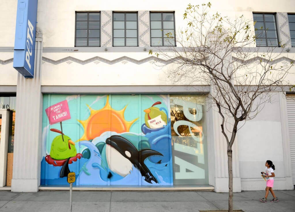 Anti-SeaWorld Mural by LA Graffiti Artist Cache at Bob Barker Building