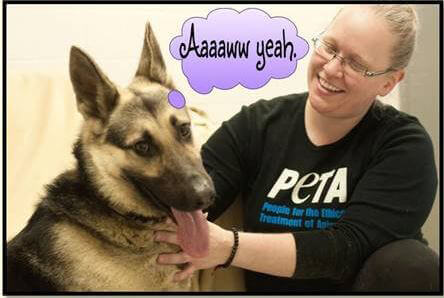 Sergeant With PETA Staffer