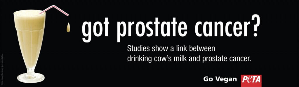 studies show link between drinking cow's milk and prostate cancer