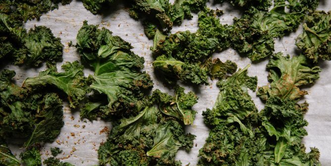 vegan kale chips on a sheet pan