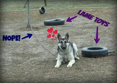 Sergeant Chained in Yard