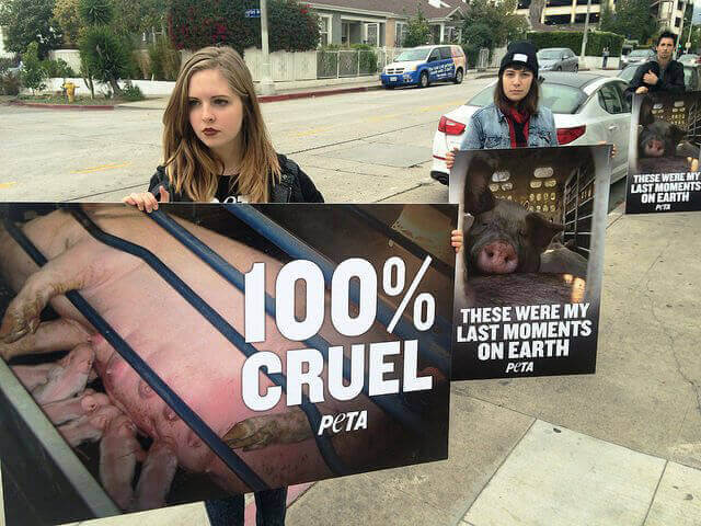 Protesters Outside BaconFest 2015