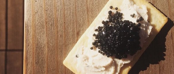 fancy vegan cheese to try