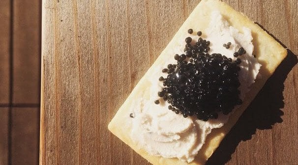 Vegan Cheeses That Even Your Fancy Friends Will Love