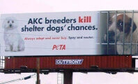 Two Dogs Found Dead, Others Reportedly ‘Swimming in Feces’ at Former AKC Judge’s Breeding Operation