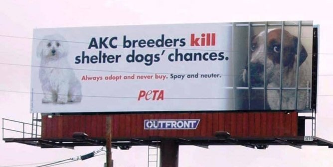 Two Dogs Found Dead, Others Reportedly ‘Swimming in Feces’ at Former AKC Judge’s Breeding Operation
