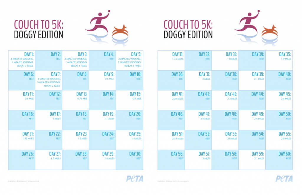Couch To 5k Workout Calendar EOUA Blog