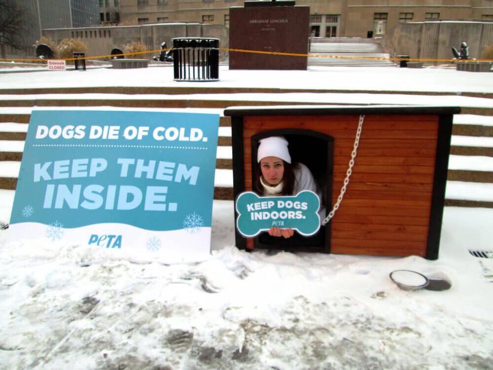 Snow Accumulates as Activist Sits Outside in Doghouse in Freezing Weather