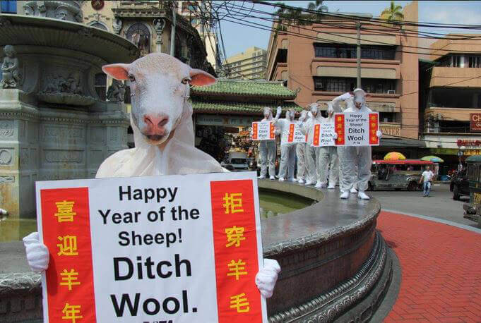 PETA Asia Year of the Sheep