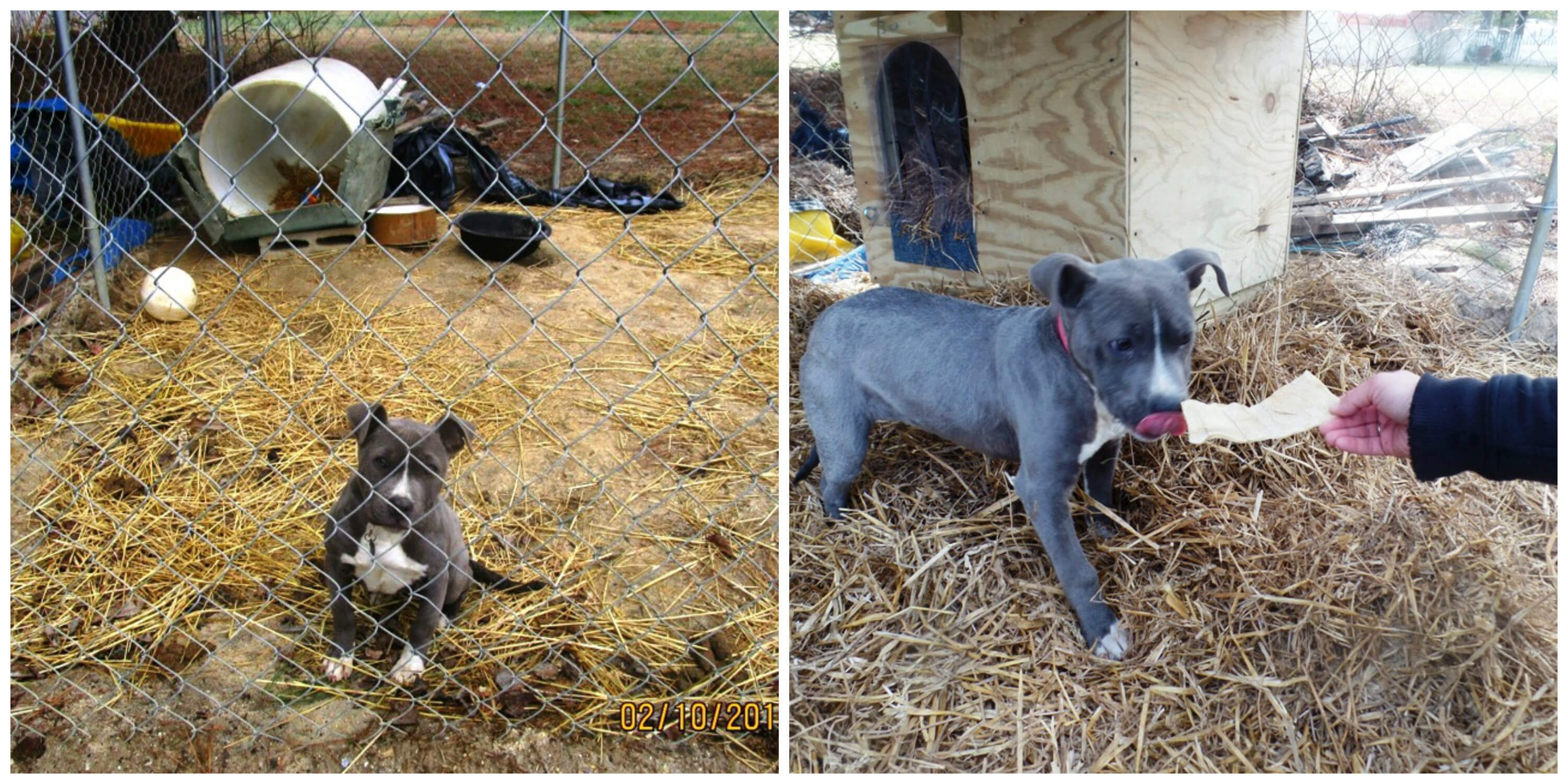 YaYa Before and After