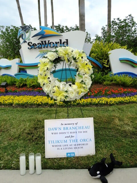 SeaWorld memorial3