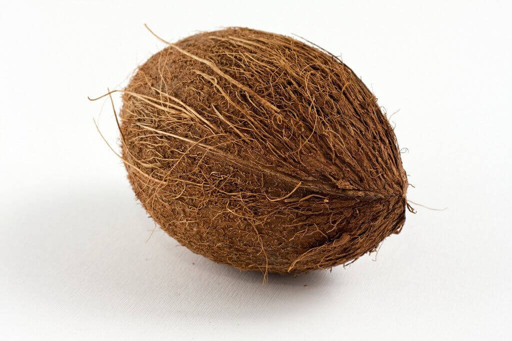 Whole Coconut