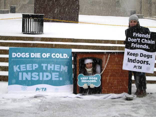 PETA Demonstrators Protest Dogs Being Chained Outside in Cold