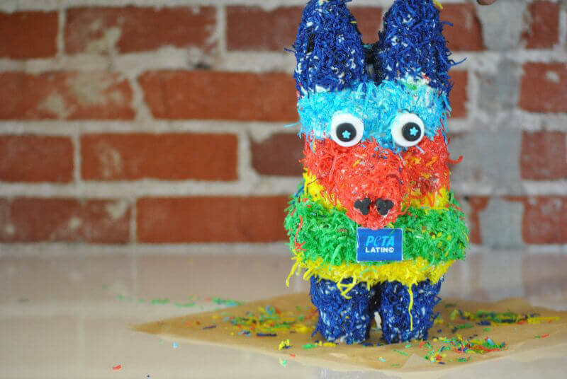 pinata cake